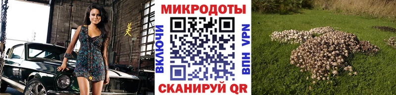 Галлюциногенные грибы GOLDEN TEACHER  Купить закладки  Новозыбков 